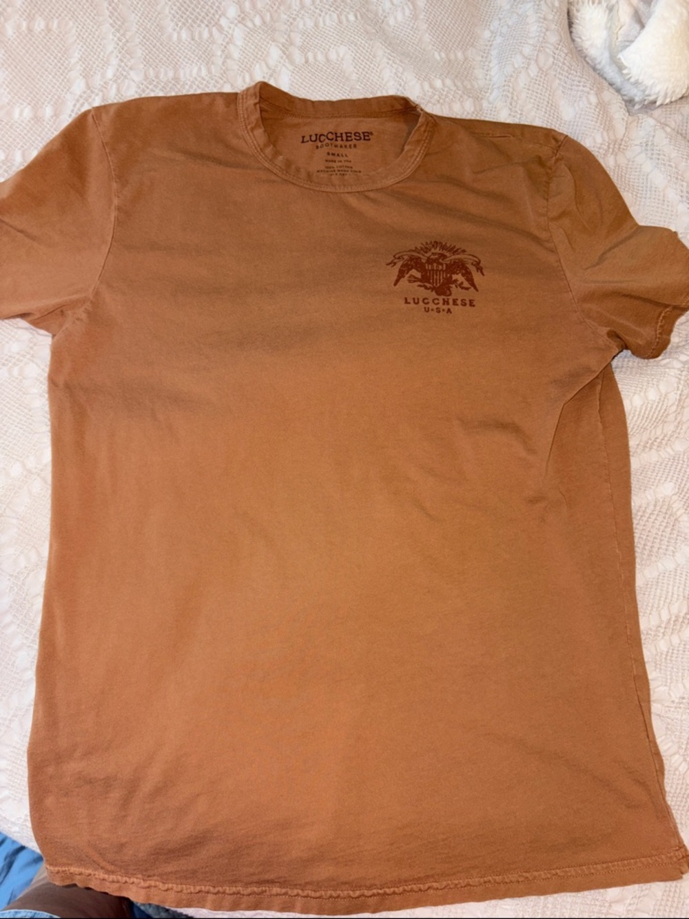 LuccheseShort Sleeve Crewneck T-Shirt in Brown